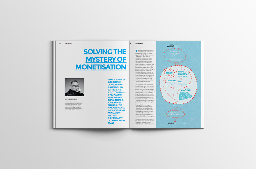 THE_EDITION monetization infografika ilustracija revija